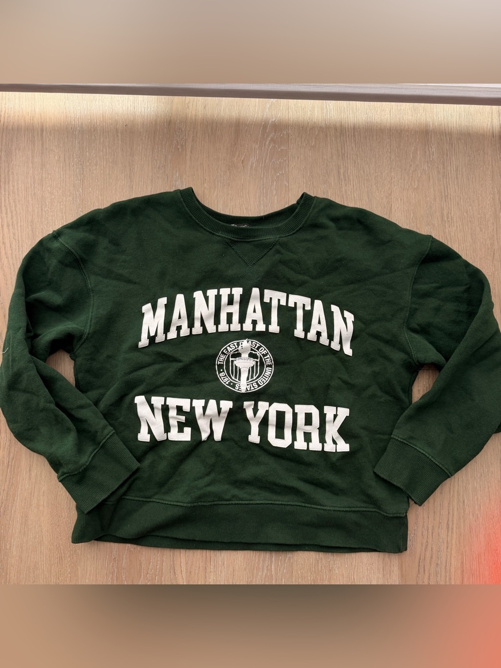 Zara Manhattan NY sweatshirt